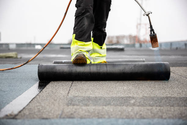 Best Roof Coating and Sealing  in Parkers Prairie, MN