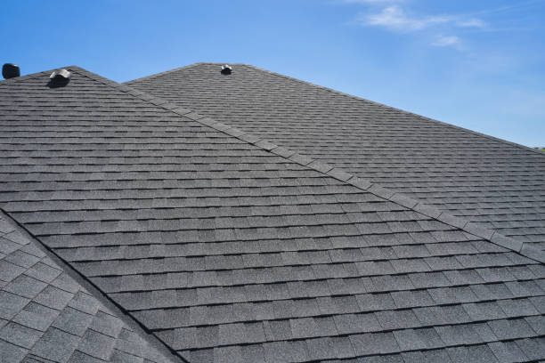 Best Solar Panel Roofing Installation  in Parkers Prairie, MN