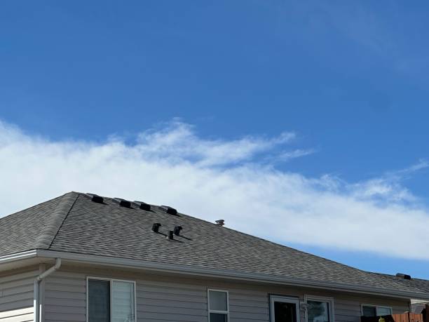 Trusted Parkers Prairie, MN Roofing service Experts